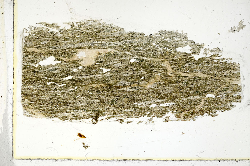 Plane Polarized, S89616