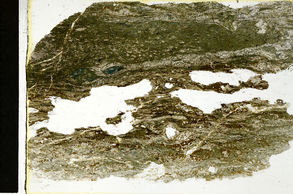 Plane Polarized, S89625