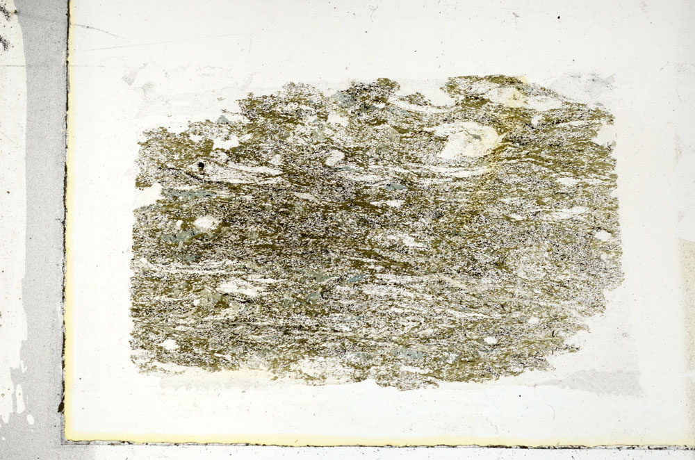 Plane Polarized, S89627
