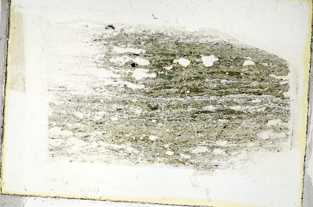 Plane Polarized, S89629