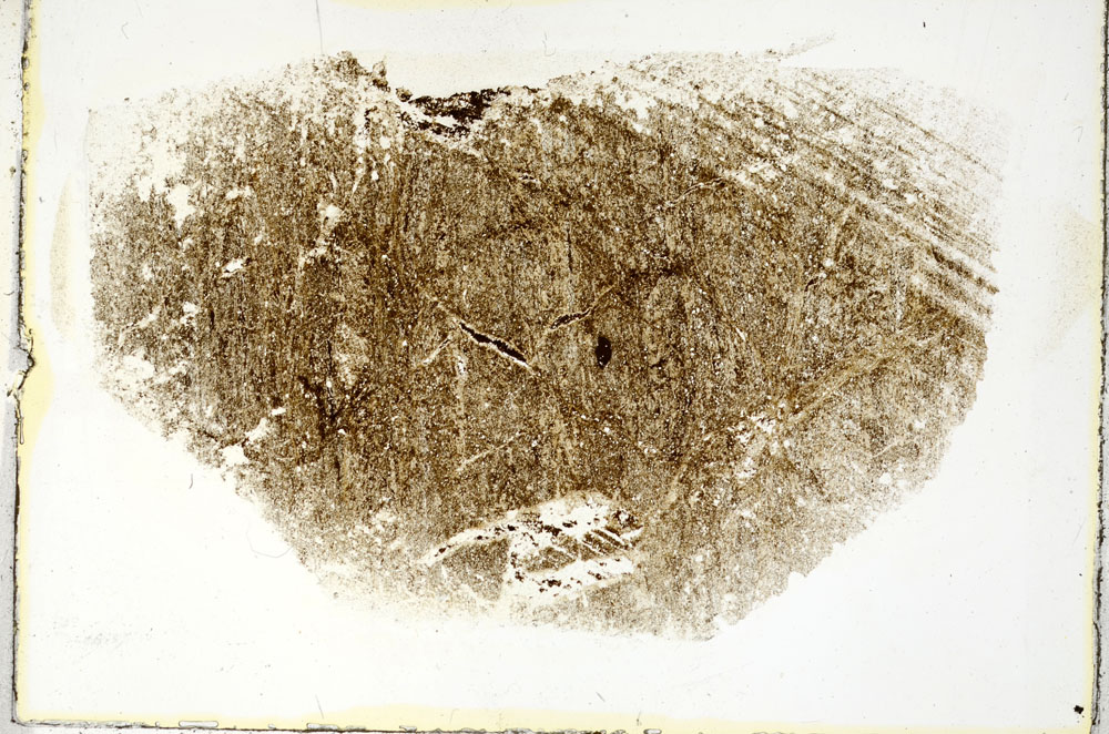 Plane Polarized, S89630
