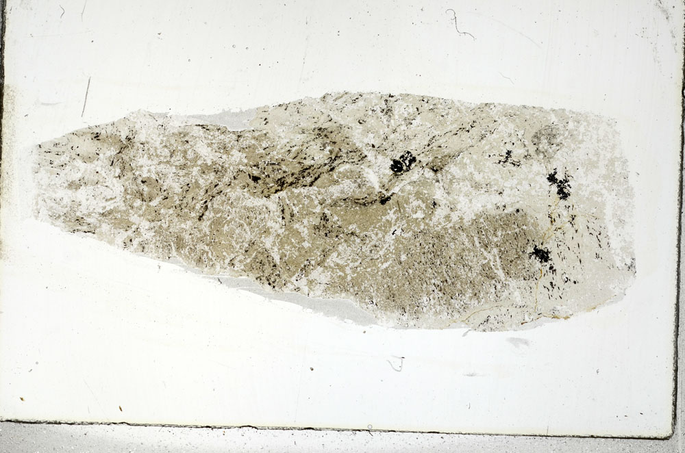 Plane Polarized, S89633