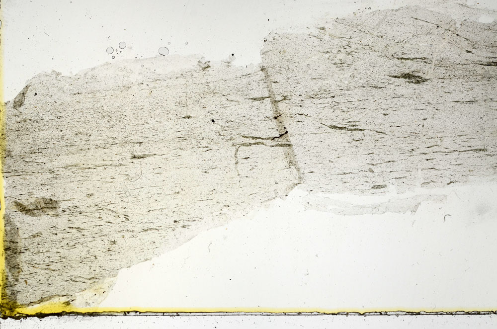 Plane Polarized, S89634