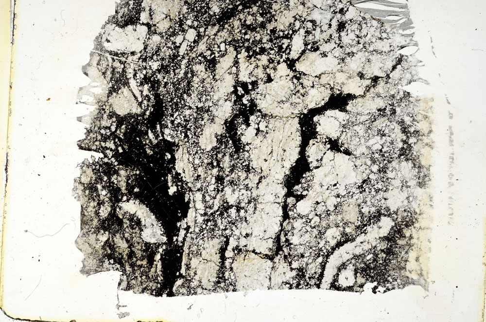 Plane Polarized, S89641