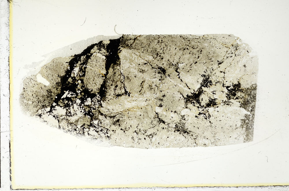 Plane Polarized, S89642