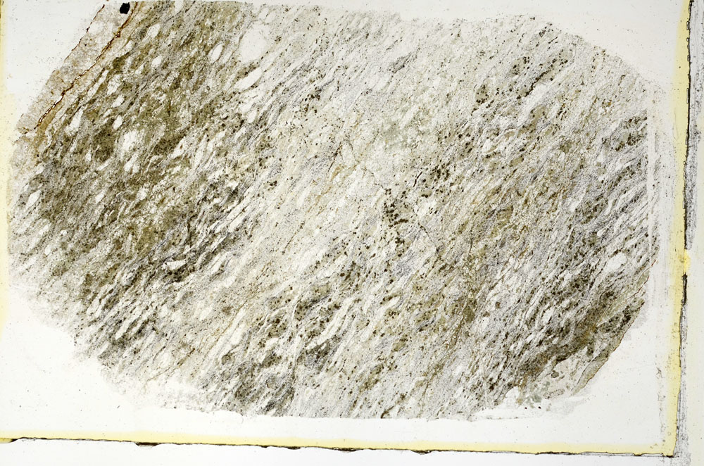 Plane Polarized, S89645