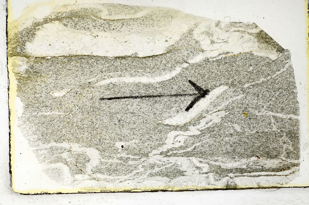Plane Polarized, S89649