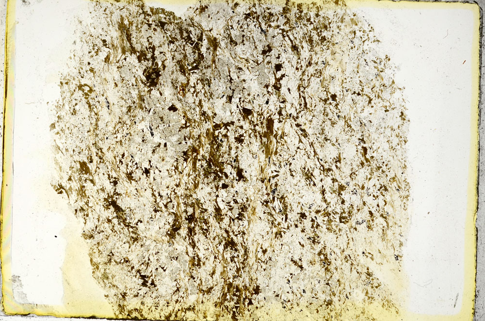 Plane Polarized, S89650