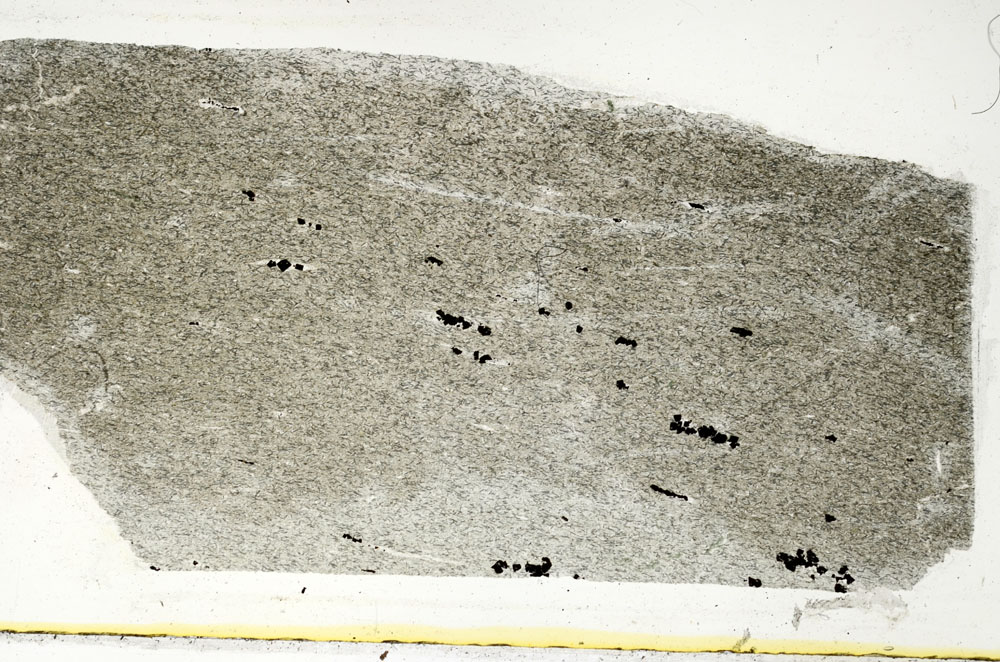 Plane Polarized, S89655