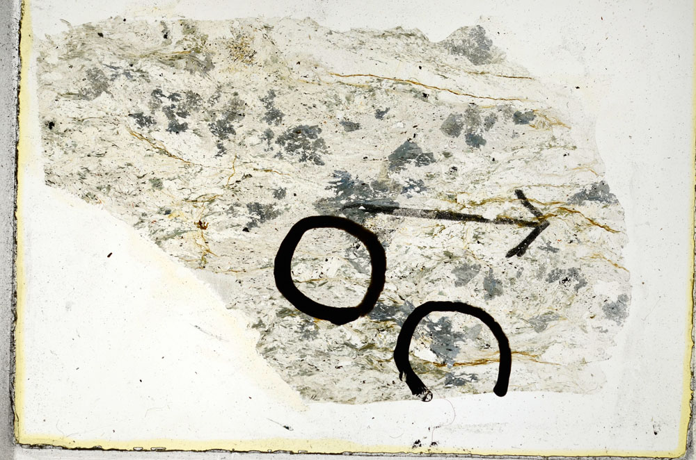 Plane Polarized, S89659