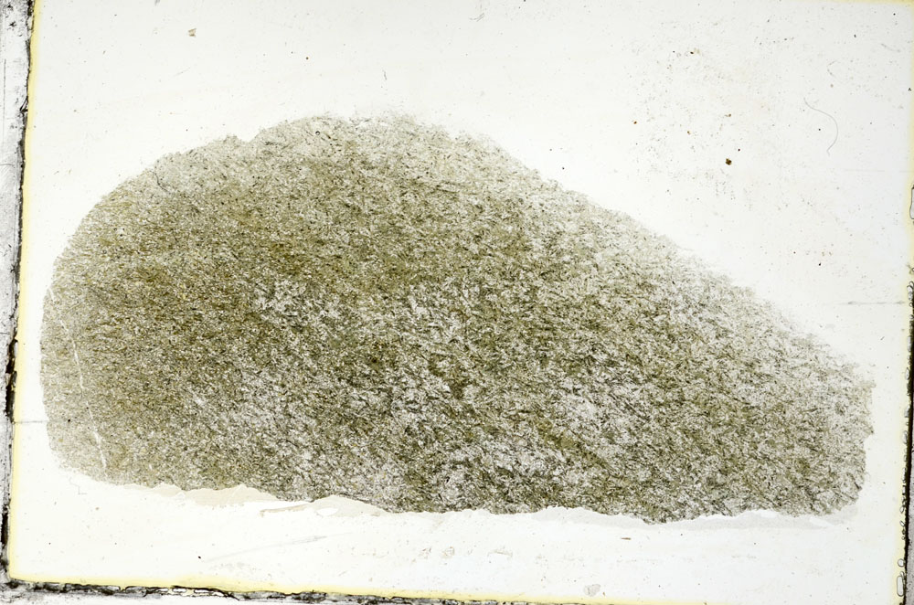 Plane Polarized, S89667