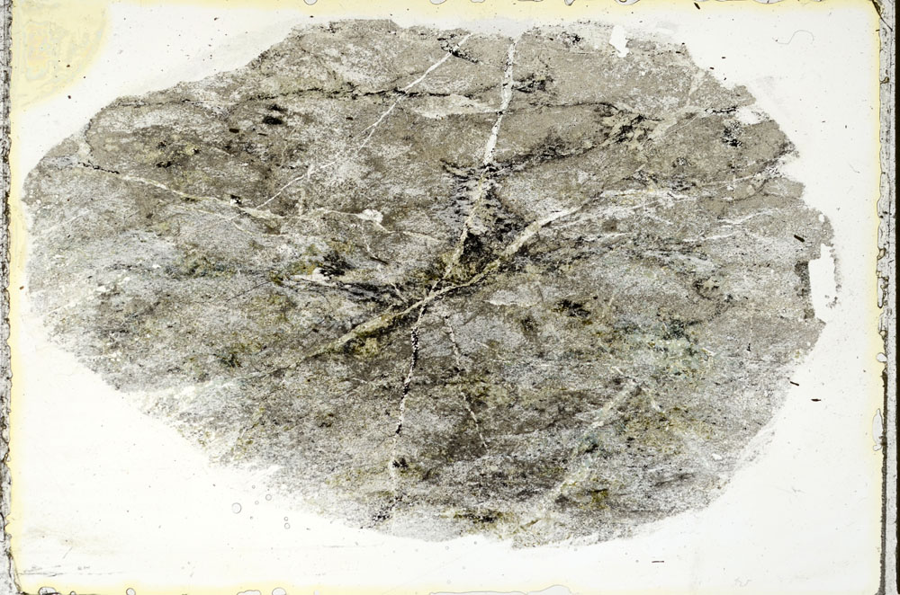 Plane Polarized, S89669
