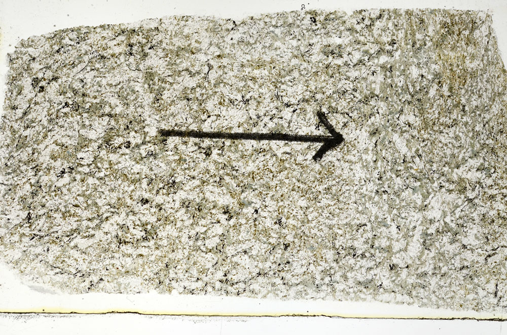 Plane Polarized, S89675