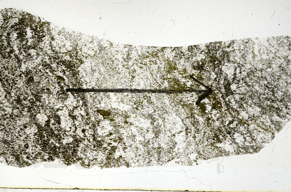 Plane Polarized, S89677