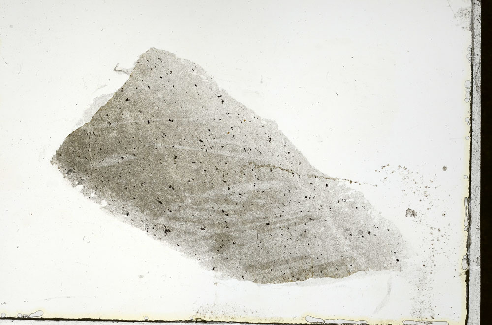Plane Polarized, S89686