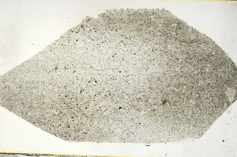 Plane Polarized, S89691