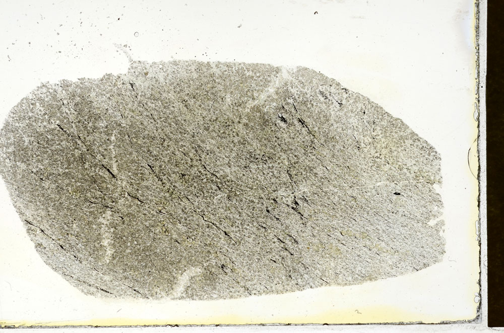 Plane Polarized, S89695
