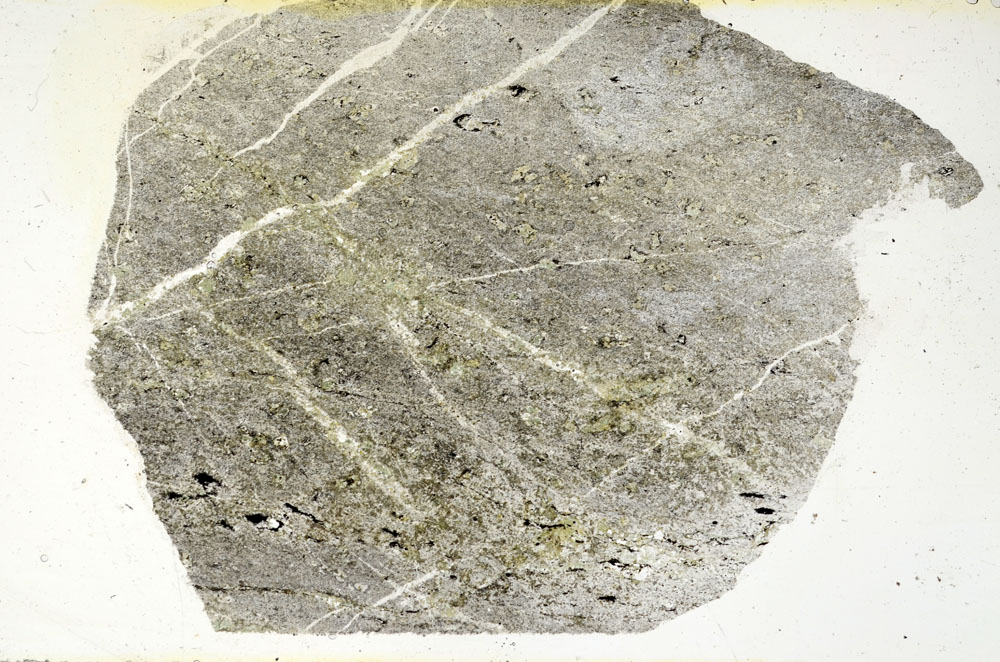 Plane Polarized, S89696