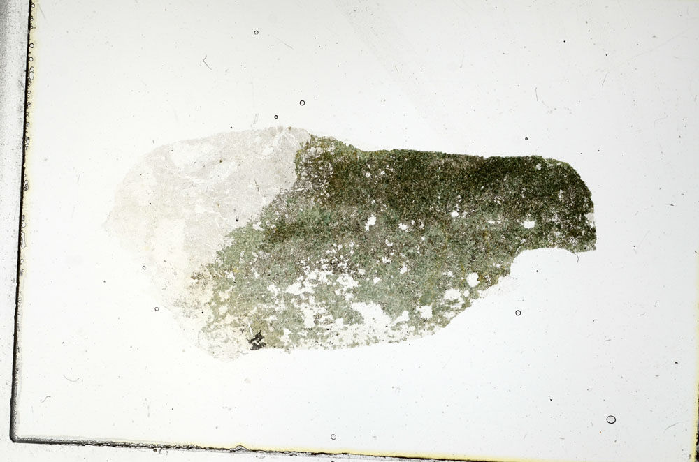 Plane Polarized, S89702