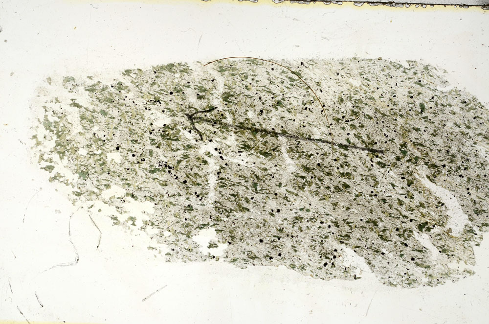 Plane Polarized, S89704