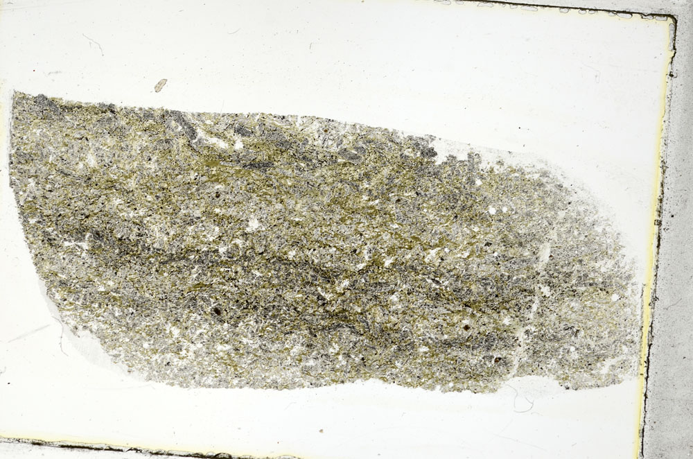 Plane Polarized, S89705