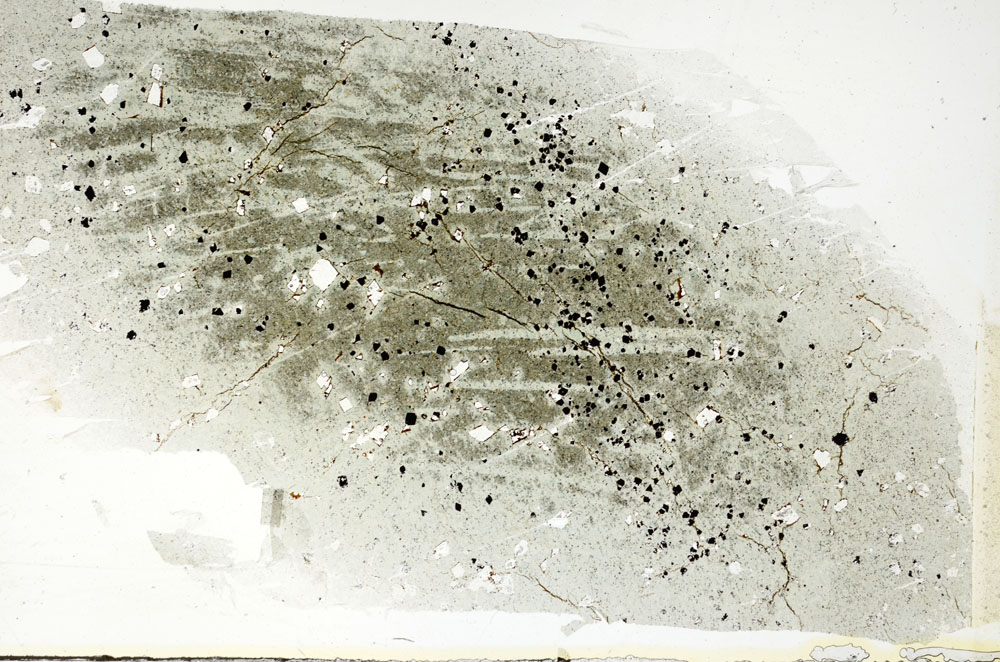 Plane Polarized, S89707