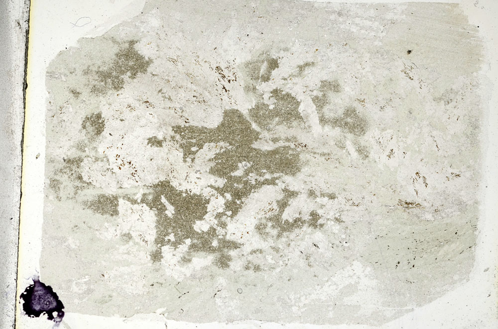 Plane Polarized, S89708