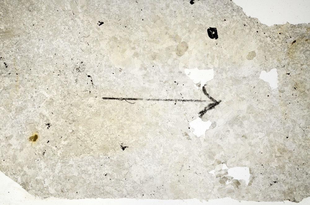 Plane Polarized, S89709