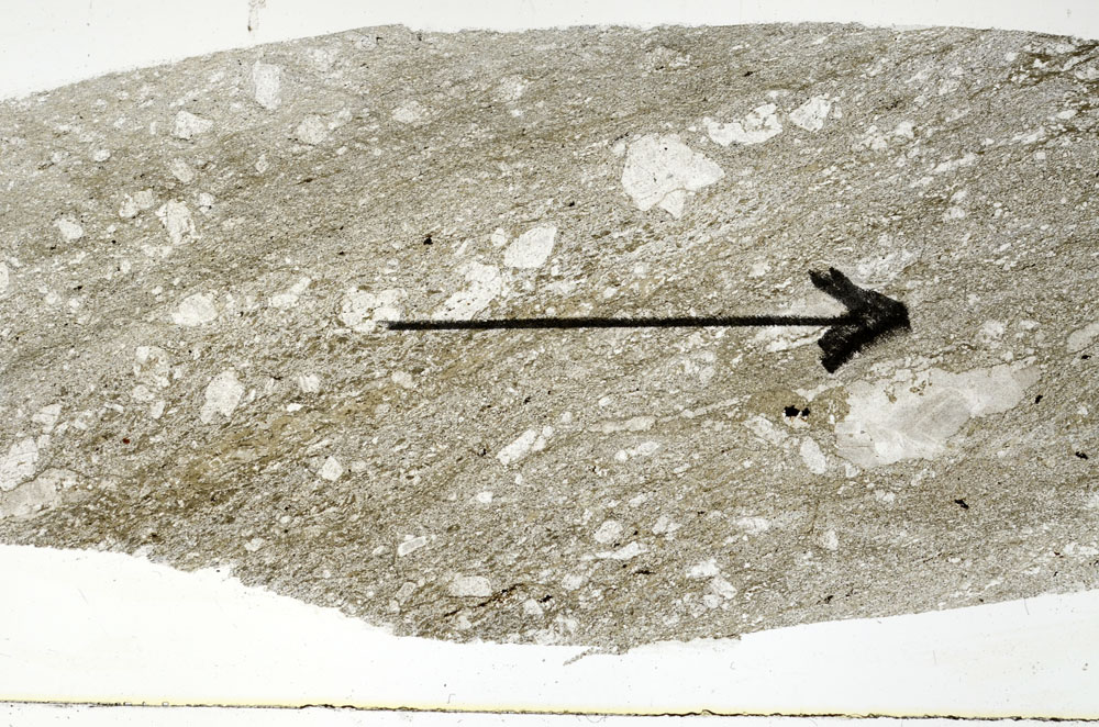 Plane Polarized, S89710