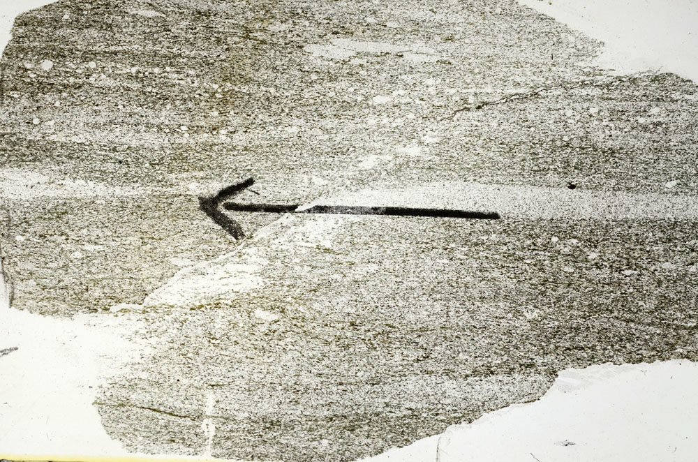 Plane Polarized, S89716