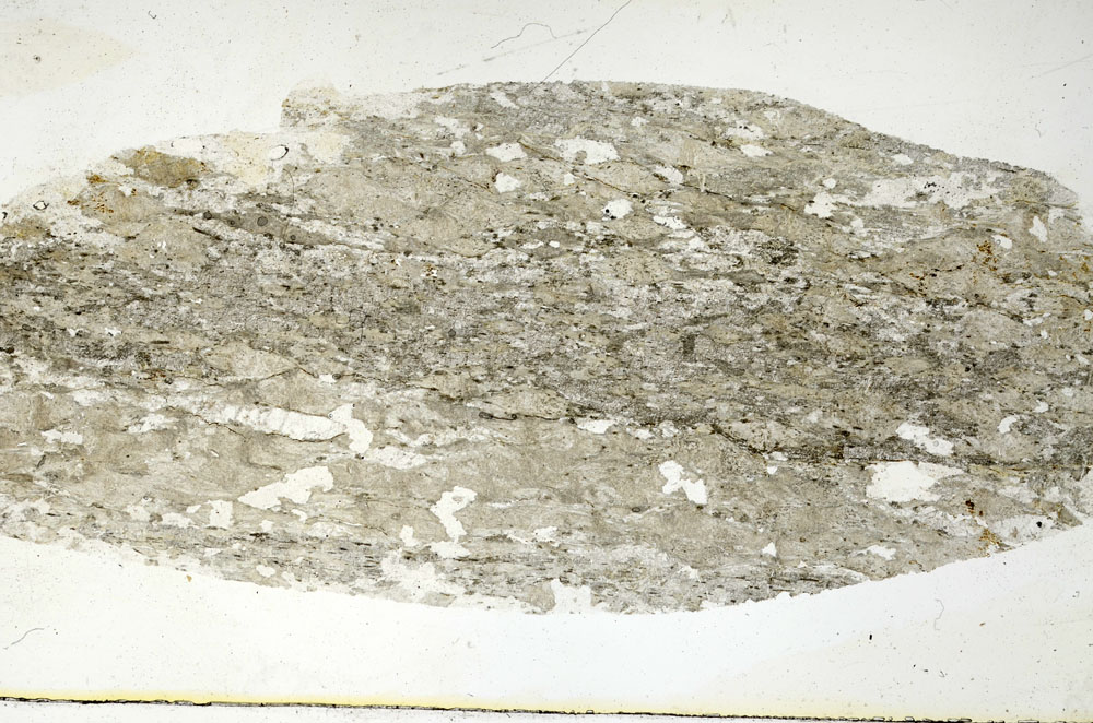 Plane Polarized, S89717