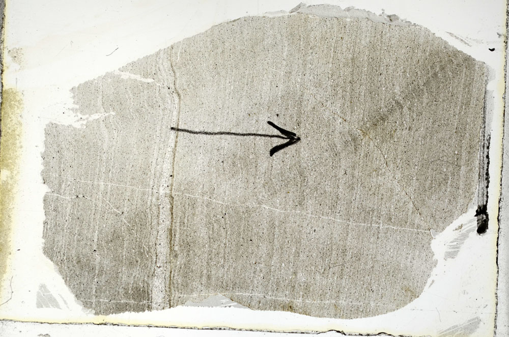 Plane Polarized, S89721