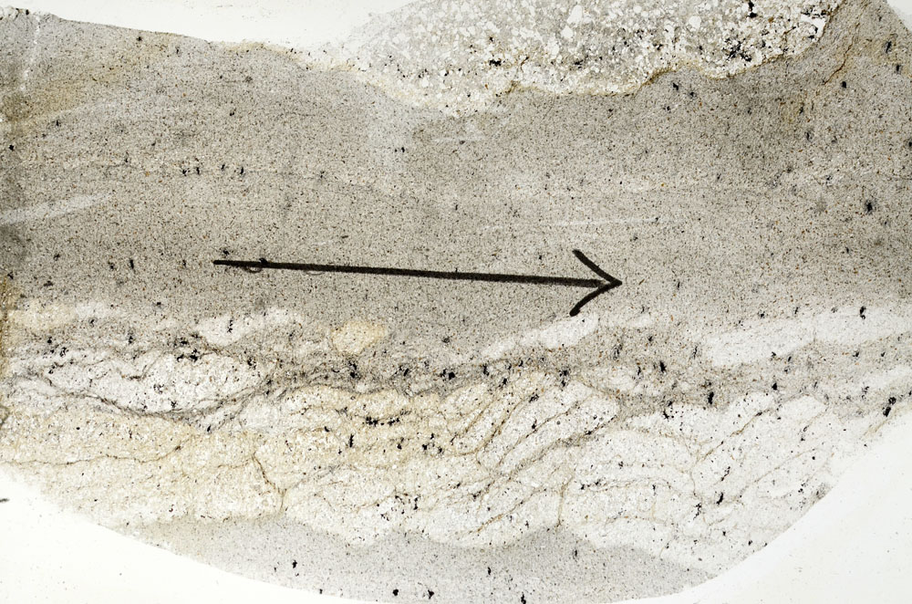 Plane Polarized, S89722