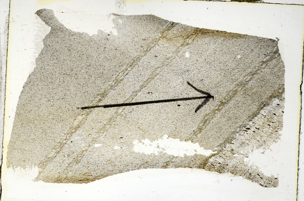 Plane Polarized, S89723