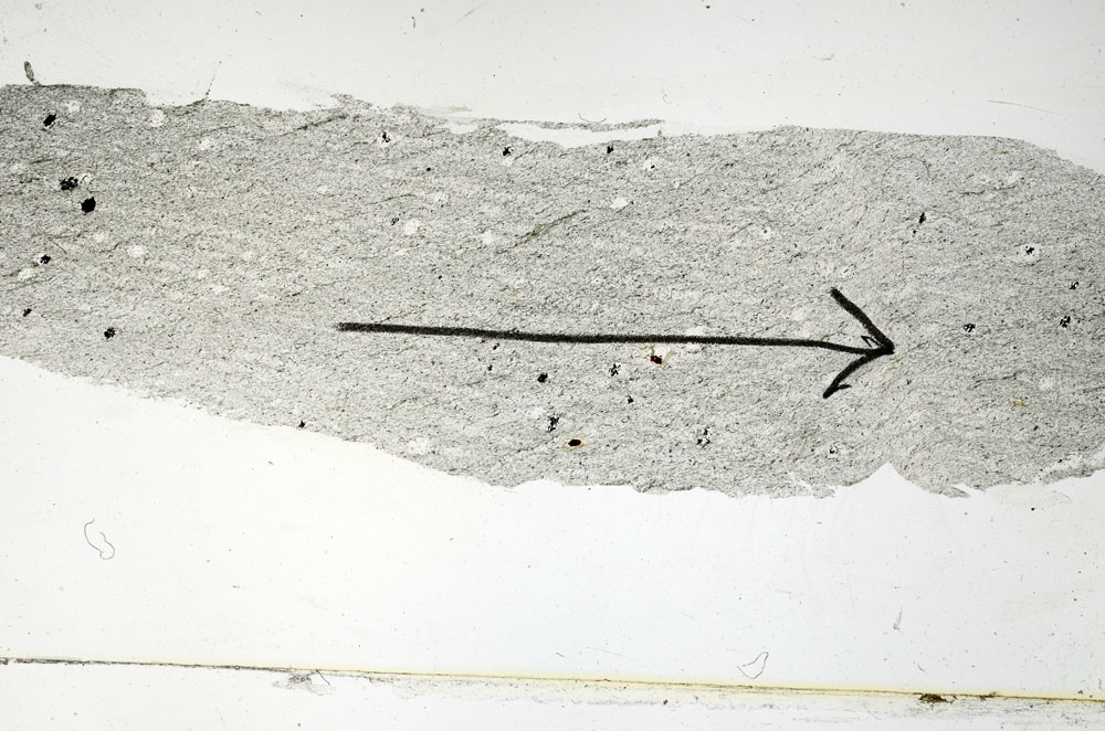 Plane Polarized, S89724