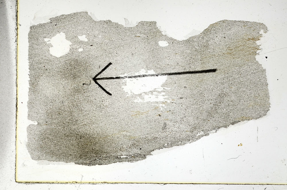 Plane Polarized, S89725