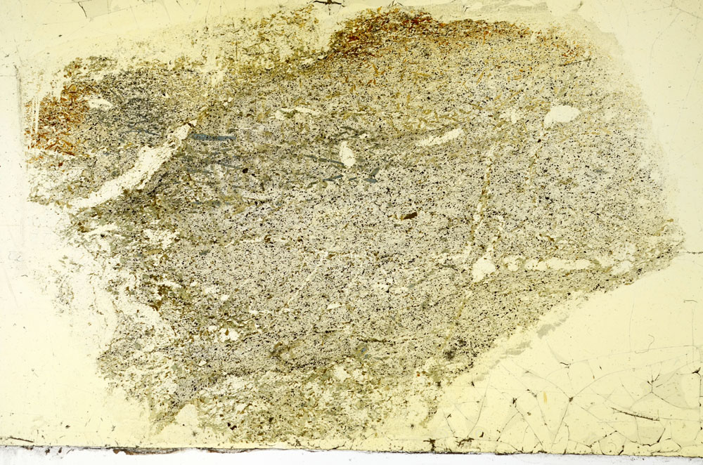 Plane Polarized, S89726
