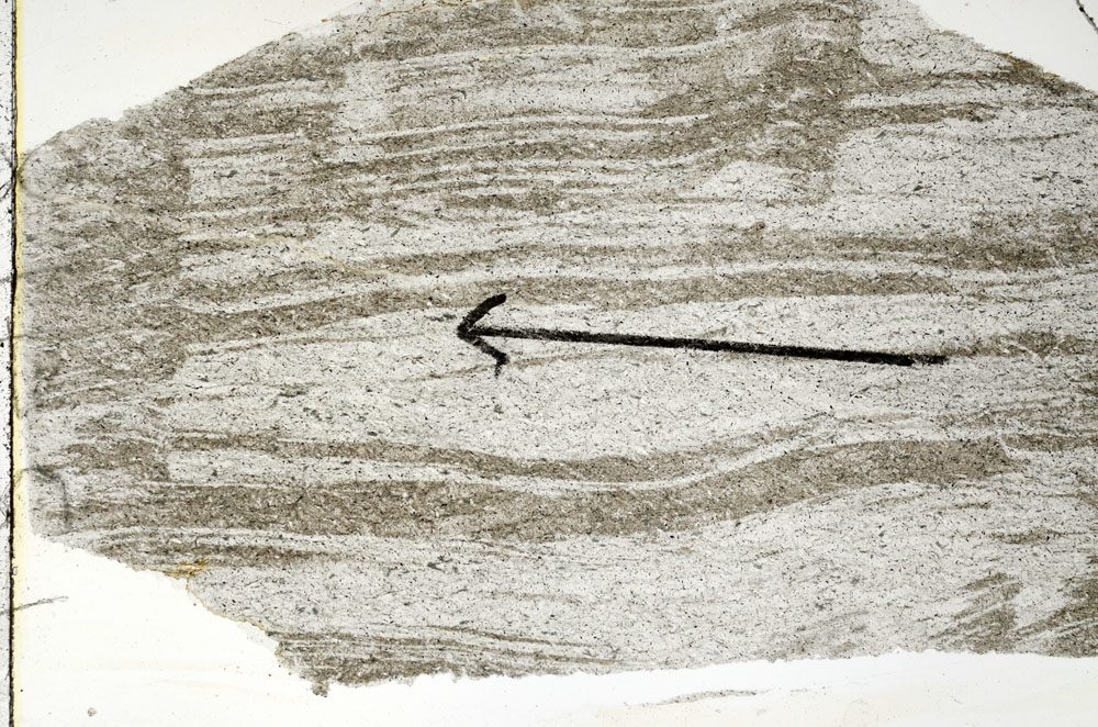 Plane Polarized, S89727