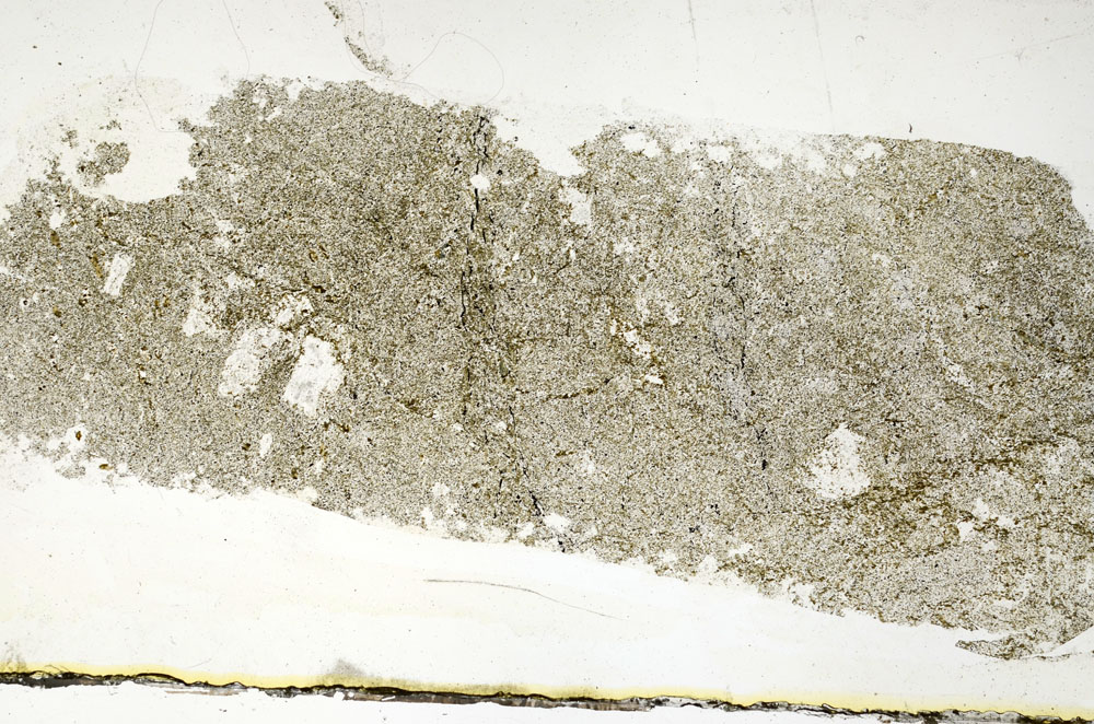 Plane Polarized, S89732