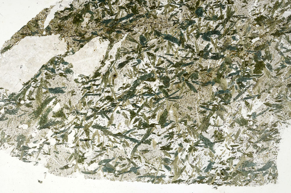 Plane Polarized, S89733