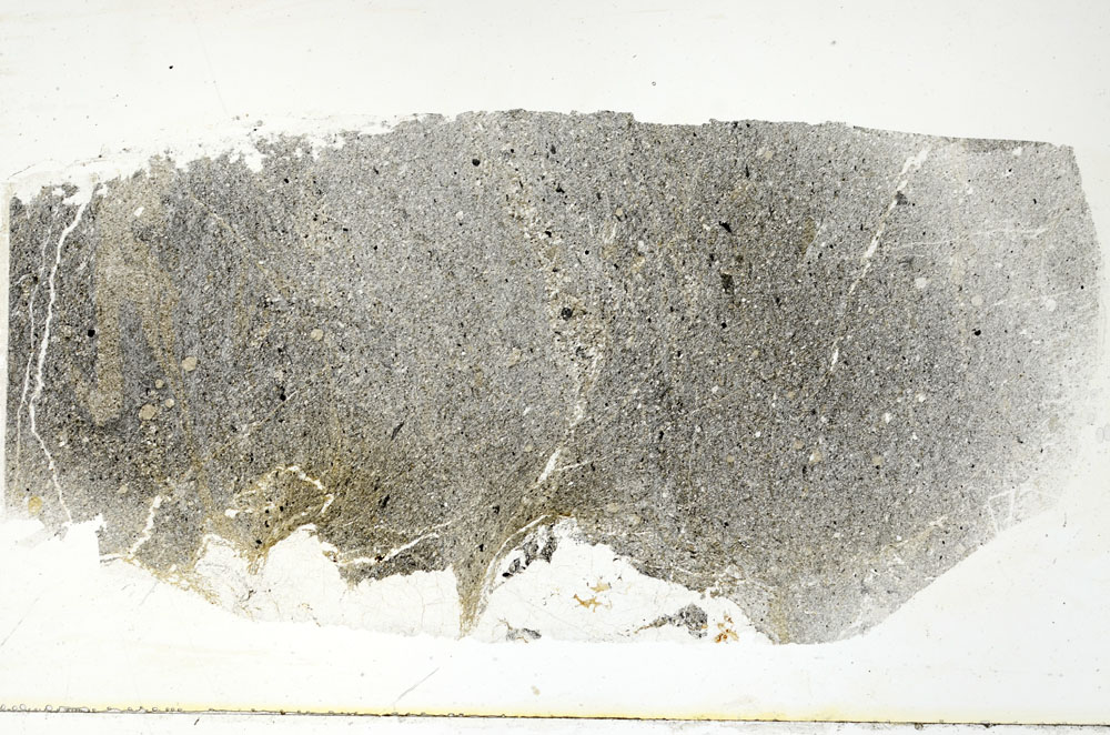 Plane Polarized, S89735