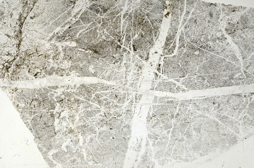 Plane Polarized, S89738