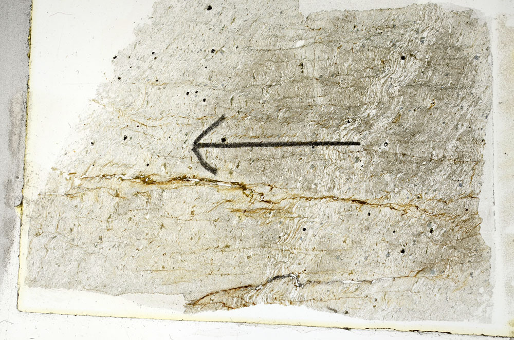 Plane Polarized, S89742