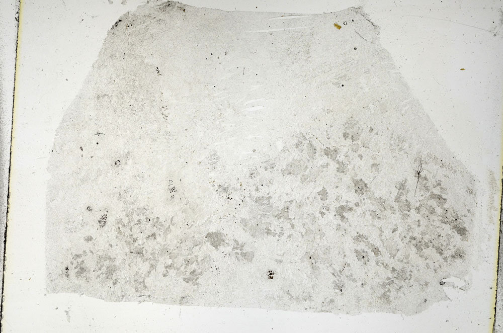 Plane Polarized, S89747