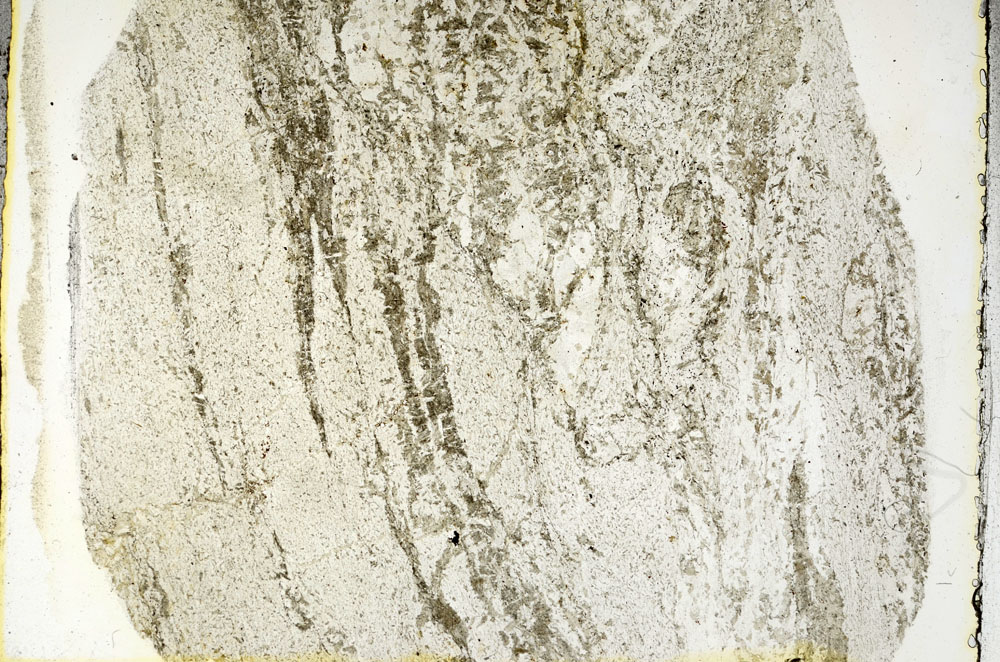 Plane Polarized, S89750