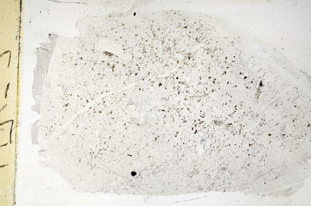 Plane Polarized, S89753