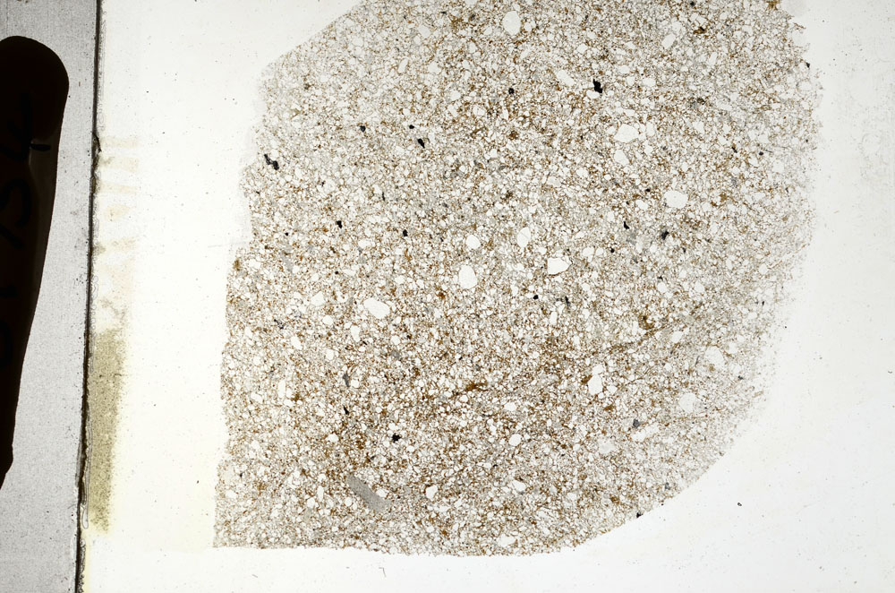 Plane Polarized, S89754