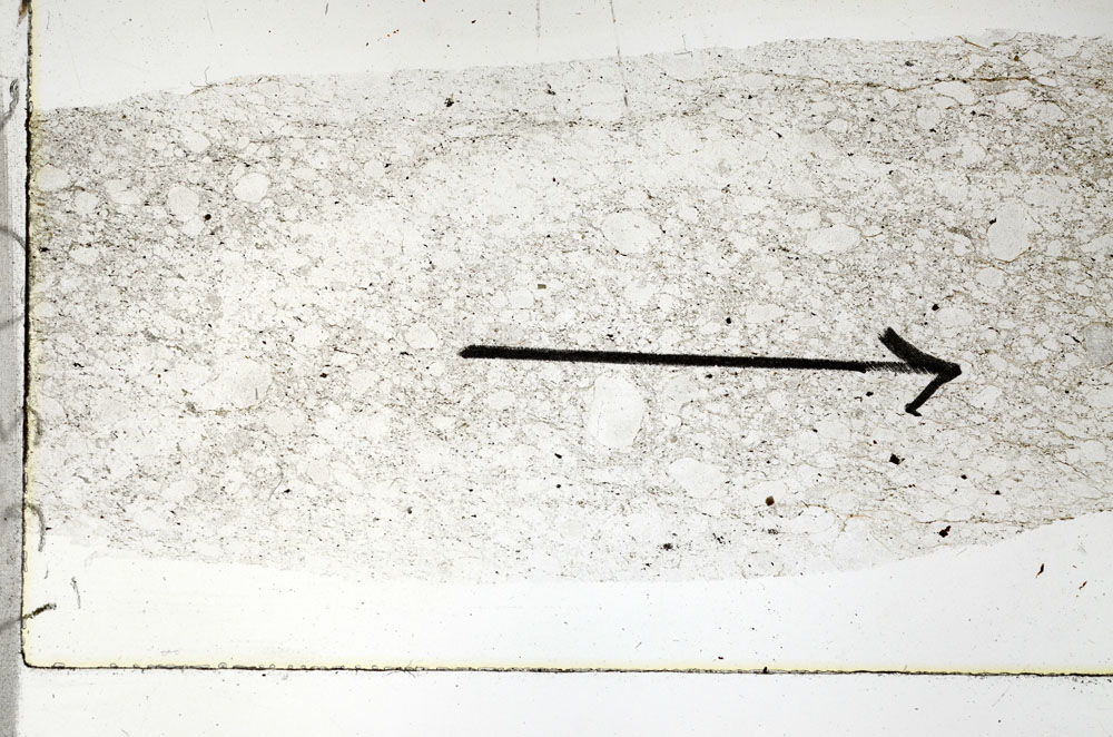 Plane Polarized, S89759
