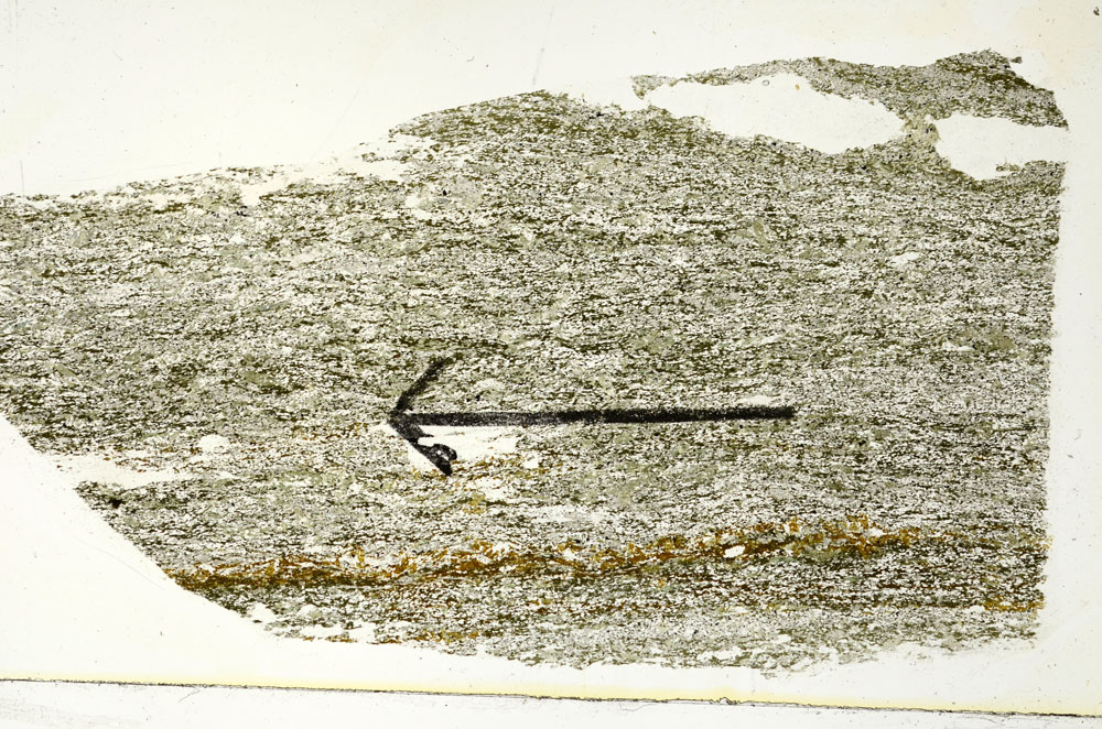 Plane Polarized, S89762