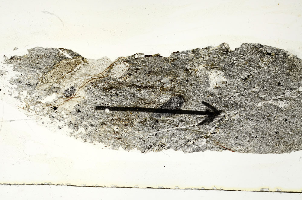 Plane Polarized, S89763